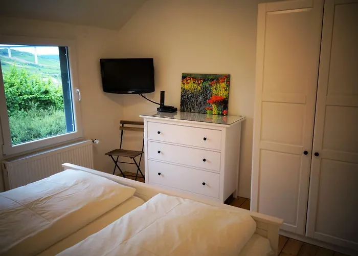 Am Moselsteig 乌尔齐希